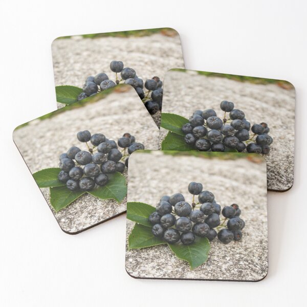 Item preview, A twig of a bunch of fruit chokeberry designed and sold by Mahirov Shop.