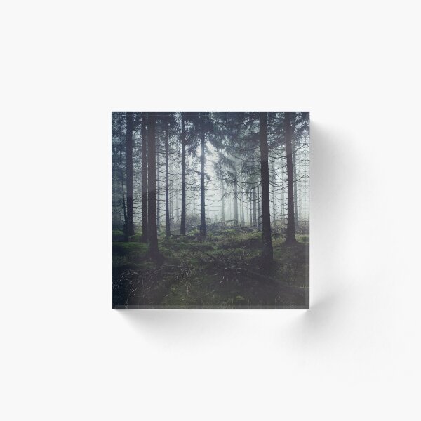 Through The Trees Acrylic Block