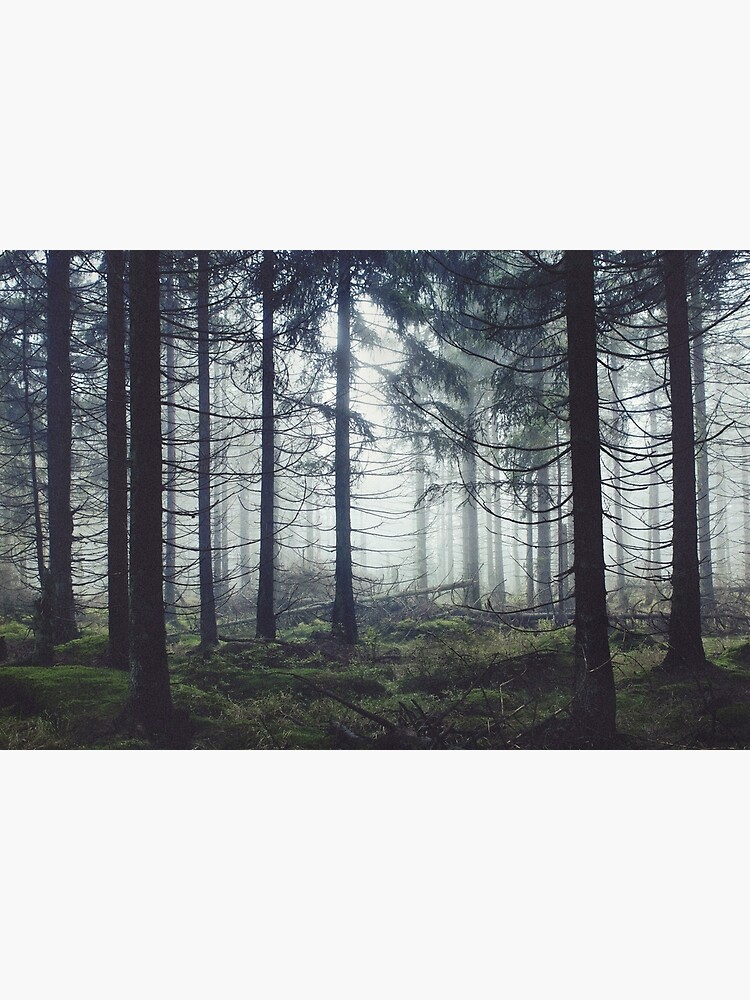 Through The Trees by tekay