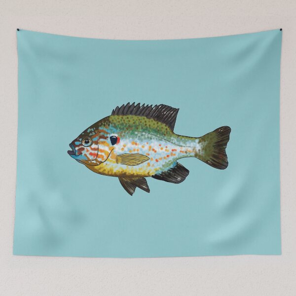 Item preview, Pumpkinseed - SMALL - (Lepomis gibbosus) designed and sold by LaurasNature.