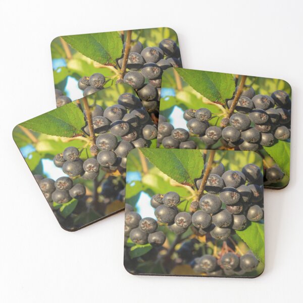 Item preview, Black chokeberry bush with ripe berries designed and sold by Mahirov Shop.