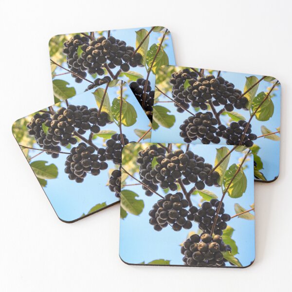 Item preview, Aronia branch with the sky designed and sold by Mahirov Shop.