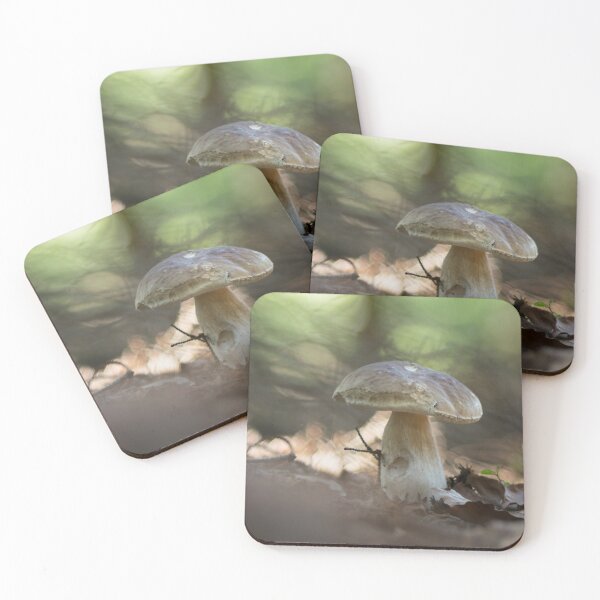 Item preview, Porcini designed and sold by bokehlein.