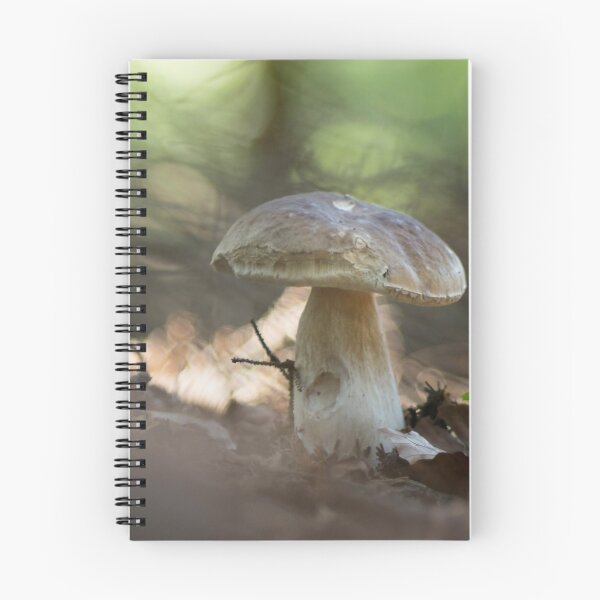 Item preview, Porcini designed and sold by bokehlein.