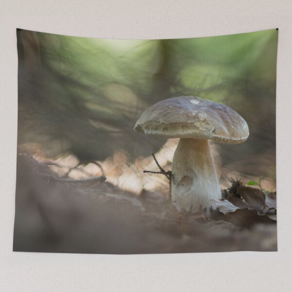 Item preview, Porcini designed and sold by bokehlein.
