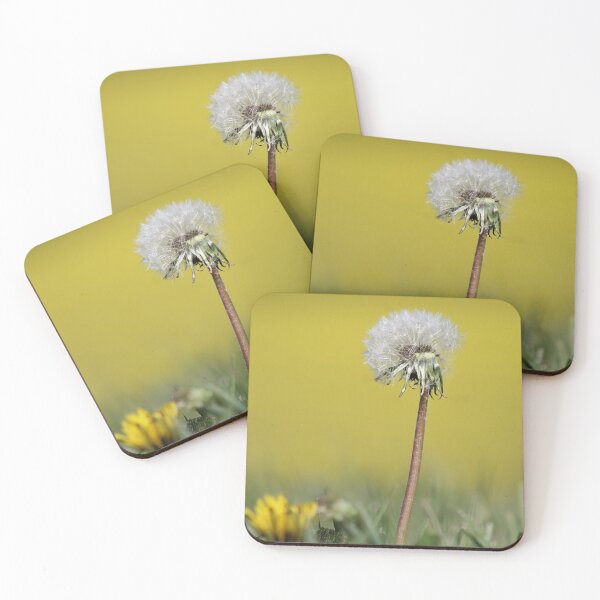 Item preview, Dandelion designed and sold by hevansphoto98.