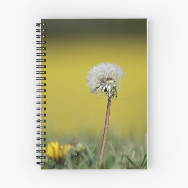 Item preview, Dandelion designed and sold by hevansphoto98.