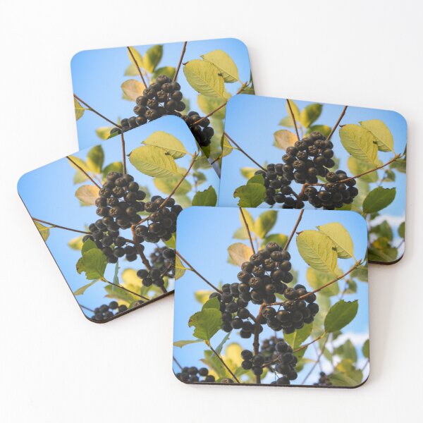 Item preview, Black aronia fruits designed and sold by Mahirov Shop.