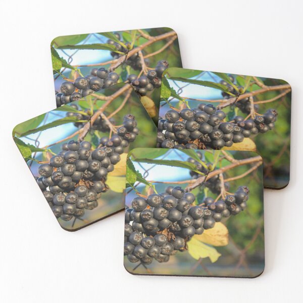 Item preview, Black ripe chokeberry designed and sold by Mahirov Shop.