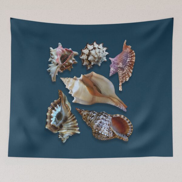 Item preview, magnificent mussels, sea shells, beach, vacation, shell collector designed and sold by 1001karte.