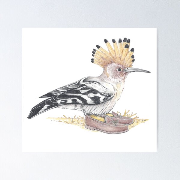 Item preview, Hoopoe in Tasseled Loafers designed and sold by JimsBirds.