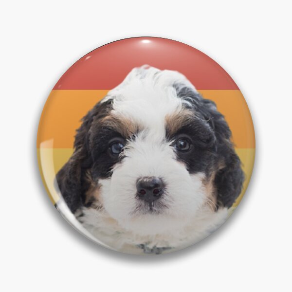 Item preview, funny bernedoodle dog vintage retro face designed and sold by alaechamlal.