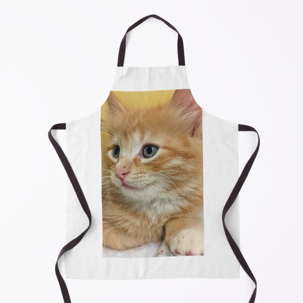 Item preview, Ginger ragdoll mainecoon kitten designed and sold by Fluffycat2020.