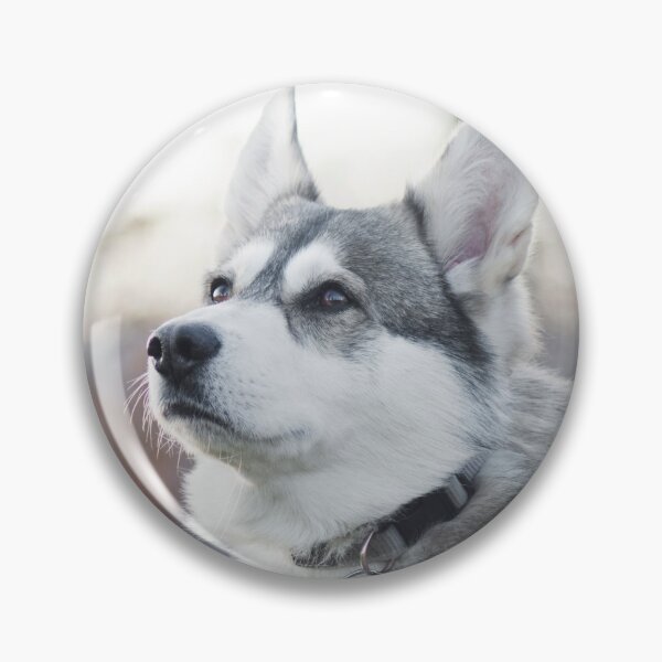 Item preview, Siberian husky dog portrait designed and sold by Nikoleta Vukovic.
