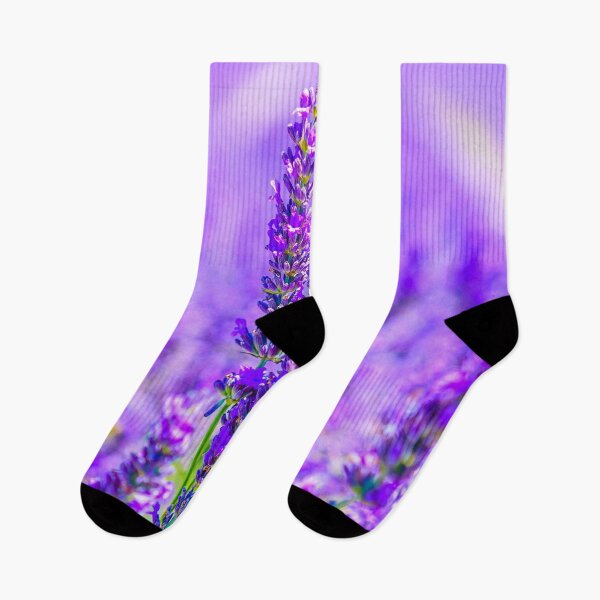 Aperçu de l'œuvre Affiche lavande violette créée et vendue par JD369.