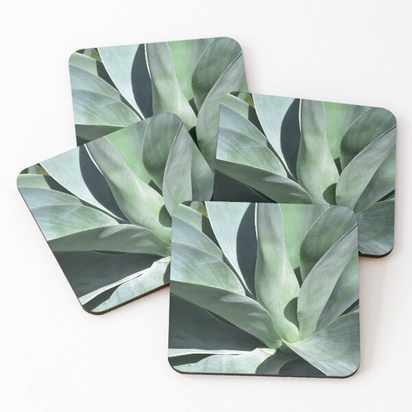 Item preview, Spineless Leaves of a Large Agave Attenuata Rosette designed and sold by Lara-vez.