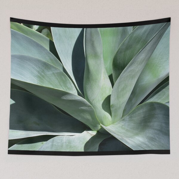 Item preview, Spineless Leaves of a Large Agave Attenuata Rosette designed and sold by Lara-vez.