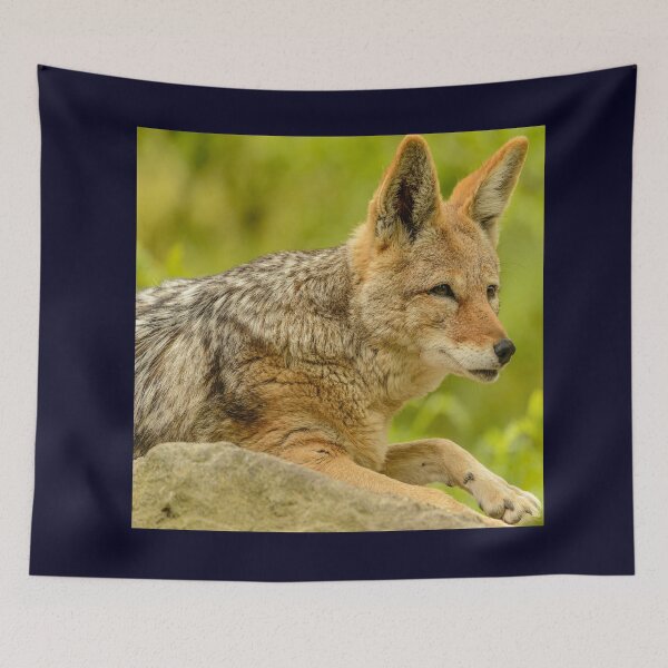 Item preview, Dwell in Peace designed and sold by 7AJA.