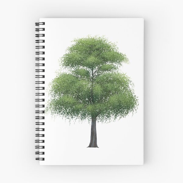 Item preview, Sugar Hackberry Tree designed and sold by Inuyasha907.