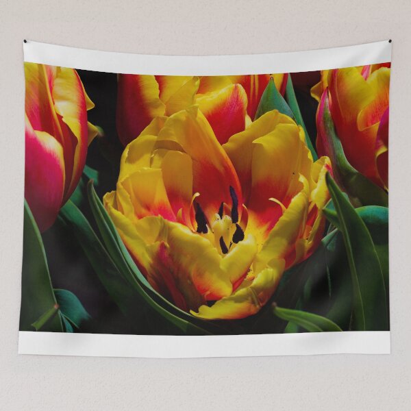 Item preview, Monsella tulips designed and sold by Kitkatfoxx.