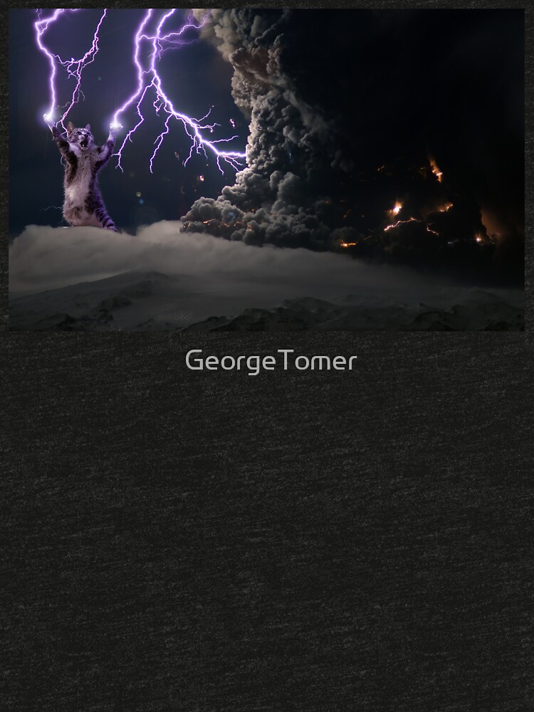 cat with lightning shirt