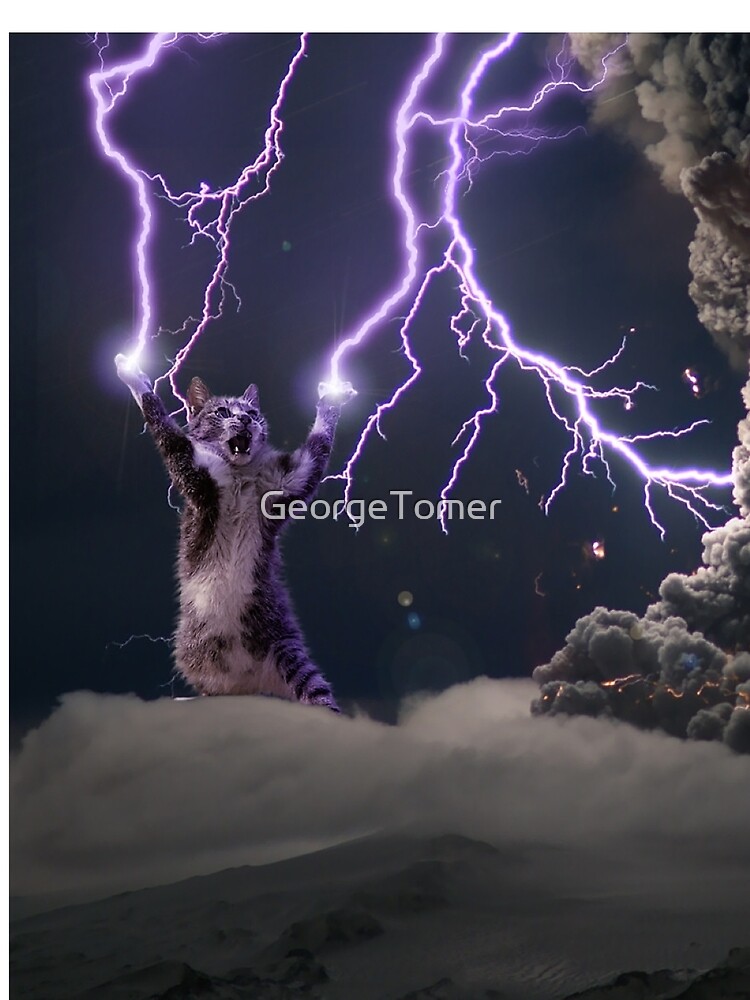cat with lightning shirt