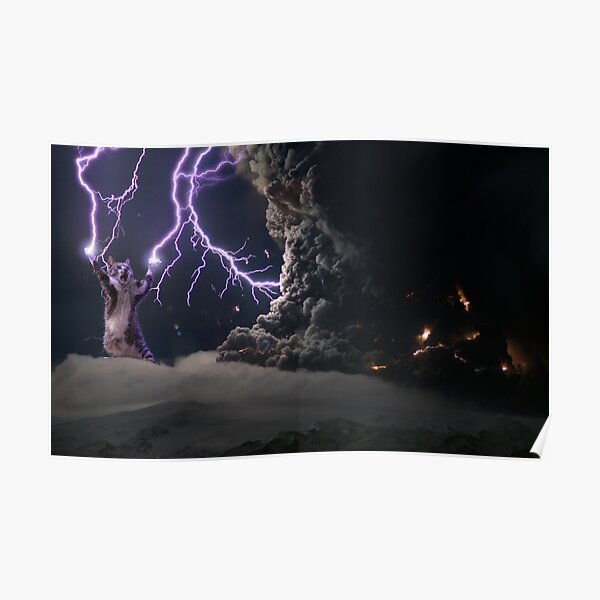 Lightning Cat Posters for Sale | Redbubble