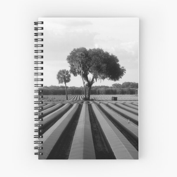 Item preview, FARMLAND designed and sold by David Lee Thompson.