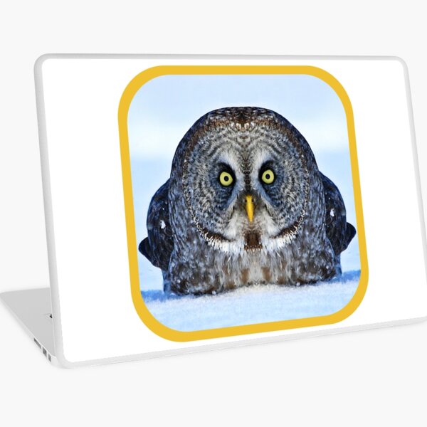 Chonky Owl Laptop Skin