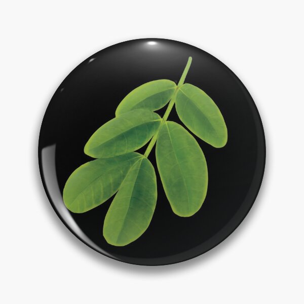 Item preview, Black Brush Leaf designed and sold by Inuyasha907.