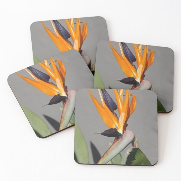 Item preview, Exotic Beauty Of Bird Of Paradise Flower designed and sold by taiche.