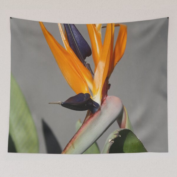 Item preview, Exotic Beauty Of Bird Of Paradise Flower designed and sold by taiche.