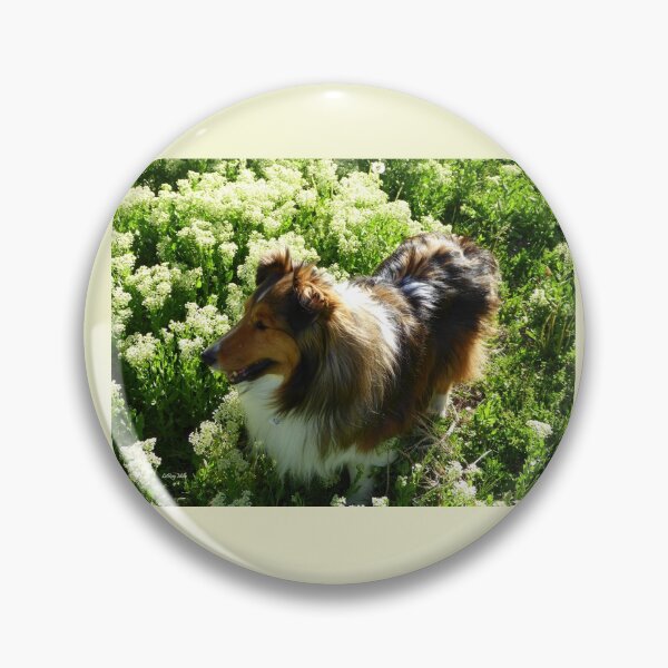 Item preview, Sheltie in Springtime designed and sold by LeRoyM.
