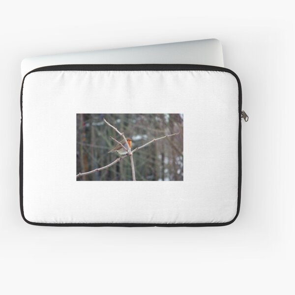 Evil Genius Laptop Sleeve