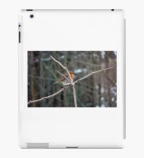 Evil Genius iPad Case/Skin