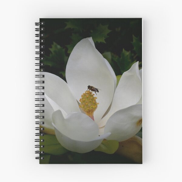 Item preview, Giant Magnolia with visitor designed and sold by Thea 65.