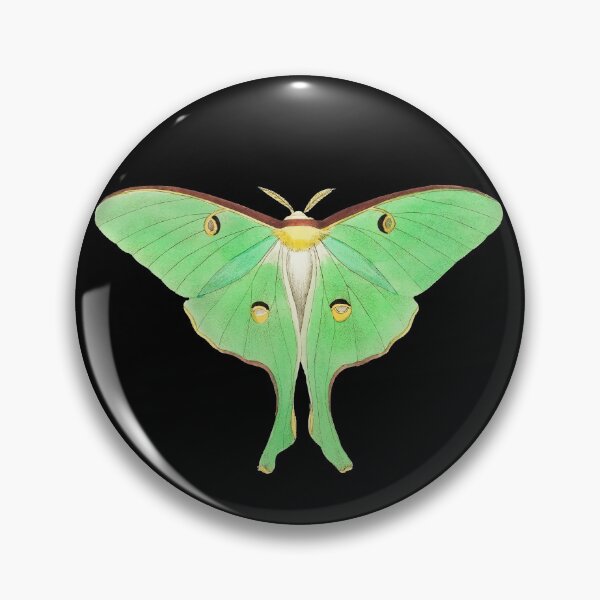 Item preview, Six Mini Moths | Vintage Insect Illustration | Vol. 1 designed and sold by KnightandMoon.