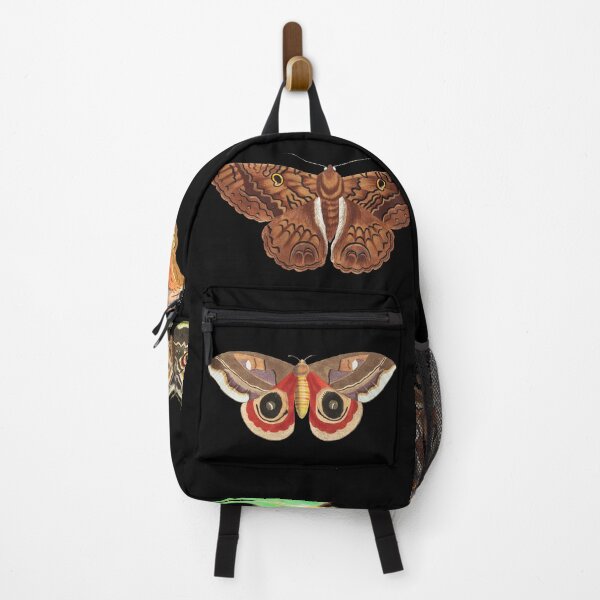 Item preview, Six Mini Moths | Vintage Insect Illustration | Vol. 1 designed and sold by KnightandMoon.
