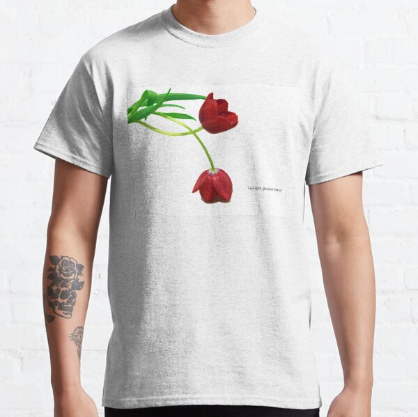 Tulipa gesneriana Classic T-Shirt