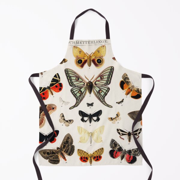 Item preview, Butterfly Moth Insect Chart | Vintage Insect Illustration designed and sold by KnightandMoon.