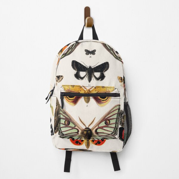 Item preview, Butterfly Moth Insect Chart | Vintage Insect Illustration designed and sold by KnightandMoon.