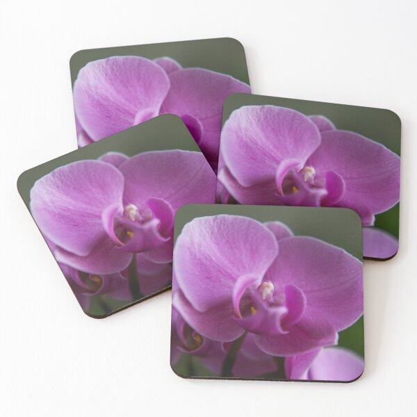 Item preview, Faceing Orchids designed and sold by Balizart.