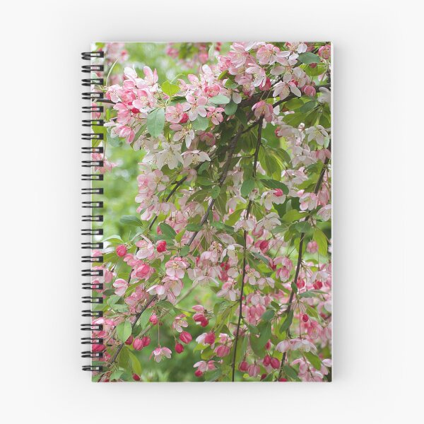 Item preview, Apple Blossom Bough designed and sold by Alisonchambers2.