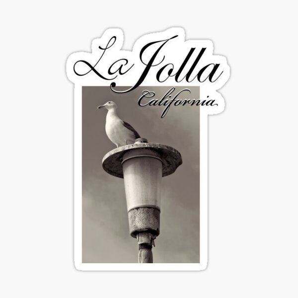 Item preview, Mouette à La Jolla designed and sold by Kgphotographics.