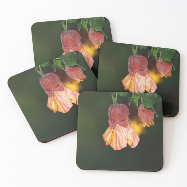 Item preview, Brazilian Bell Bloom designed and sold by Joy Watson - Natural Light Photography .