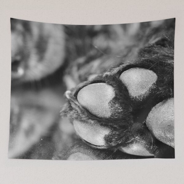 Item preview, Nap time  designed and sold by GFPhotography.