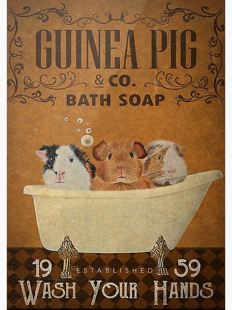 "Guinea Pig Company Bath Soap Wash Your Hands Poster" Art Print by