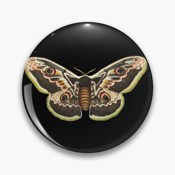 Item preview, Eight Mini Moths | Vintage Insect Illustration | Vol. 2 designed and sold by KnightandMoon.