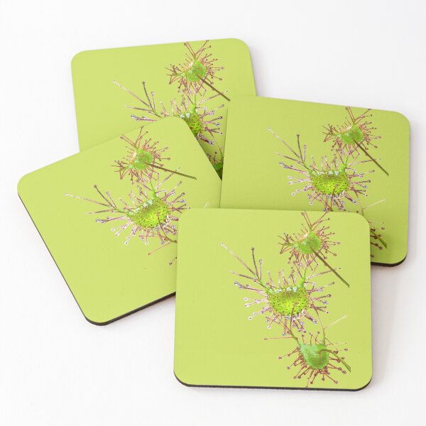 Item preview, Sparkling Sundew designed and sold by Anne-Maree Hunter.