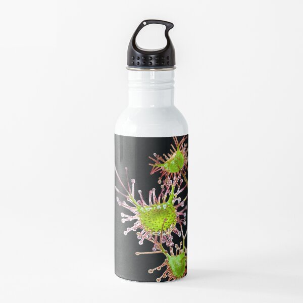 Sparkling Sundew Water Bottle